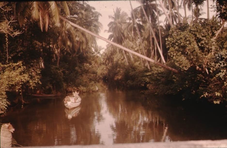 A body of water with trees around it
Description automatically generated with medium confidence